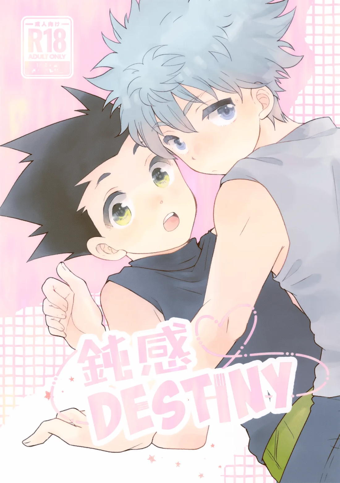 鈍感DESTINY